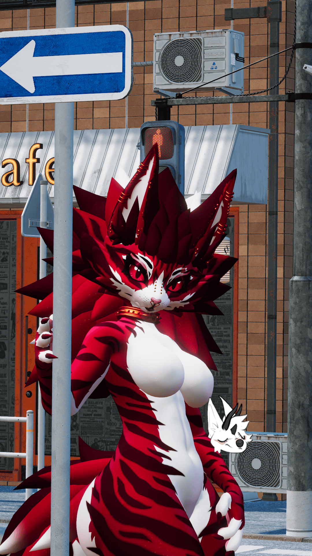 KFN Unnatural tabby - Cherry