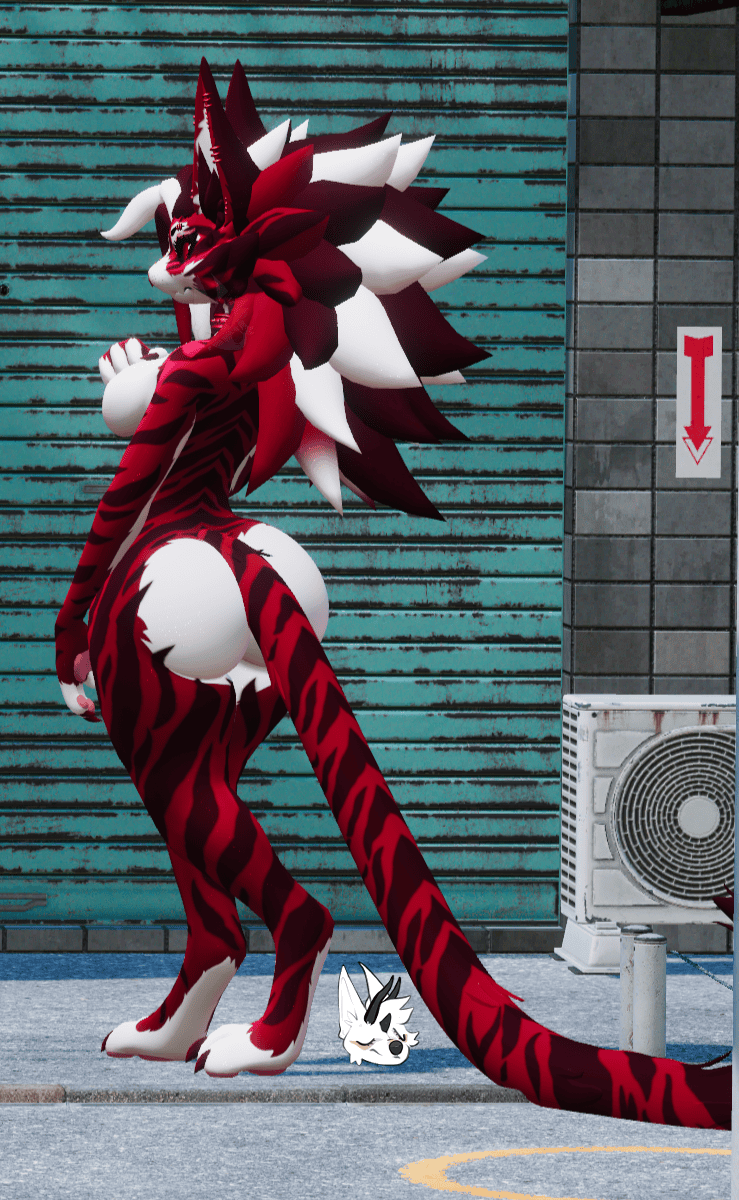 KFN Unnatural tabby - Cherry