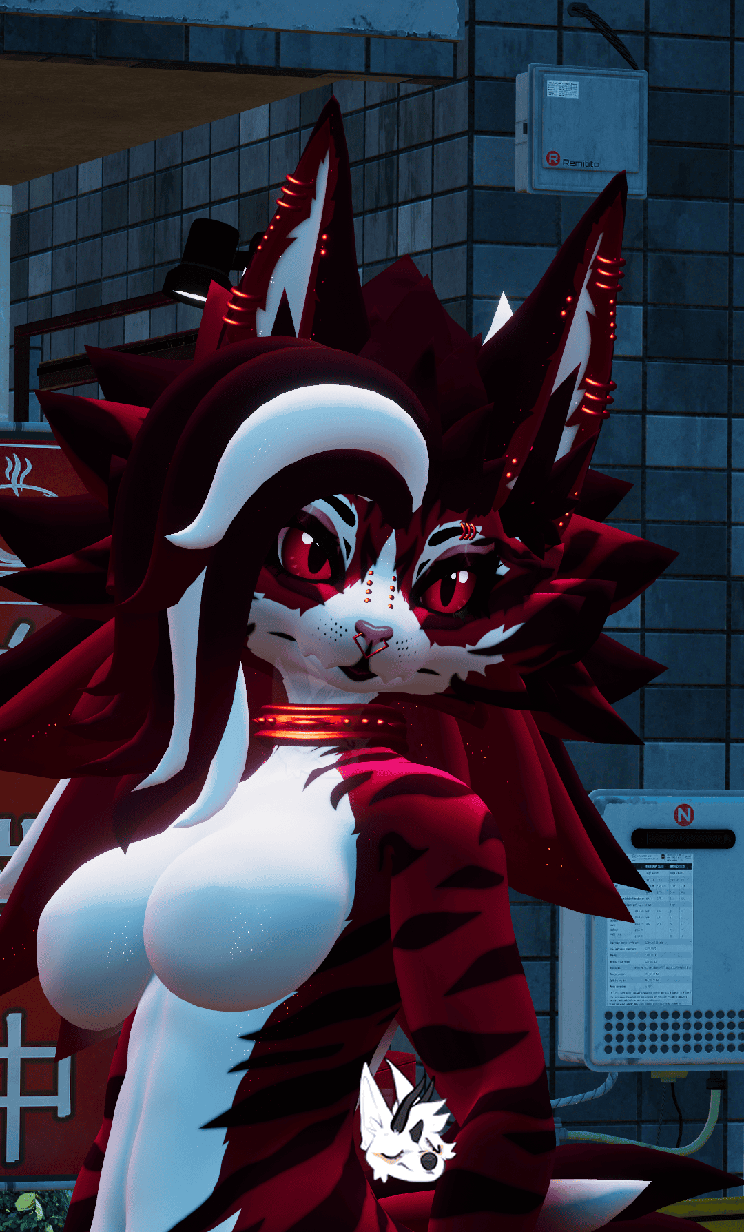 KFN Unnatural tabby - Cherry