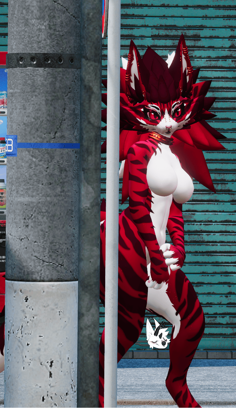 KFN Unnatural tabby - Cherry