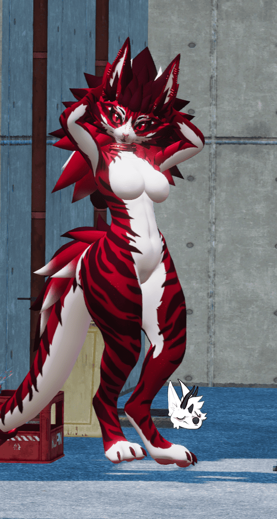 KFN Unnatural tabby - Cherry