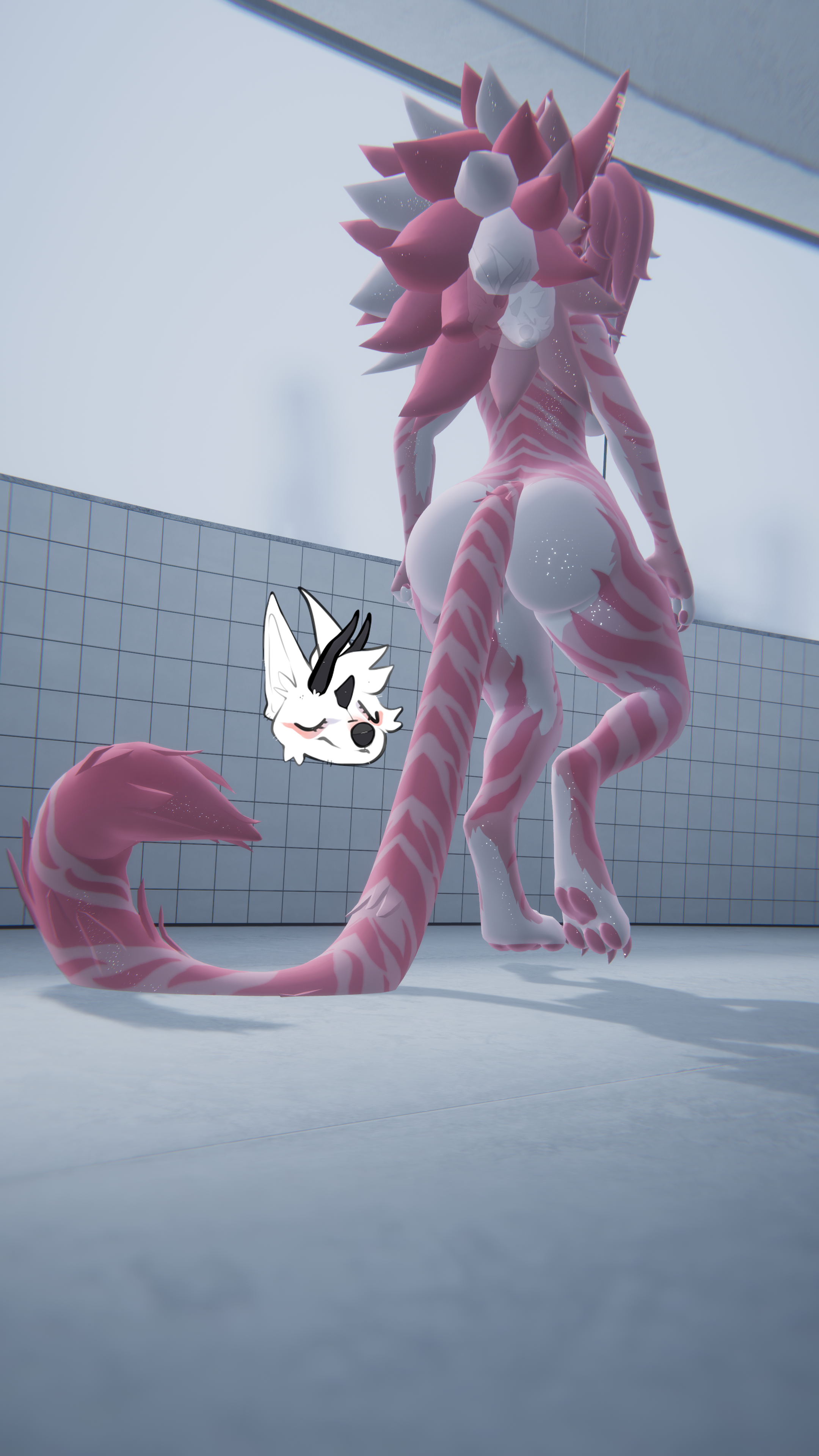 KFN Unnatural tabby - Sakura