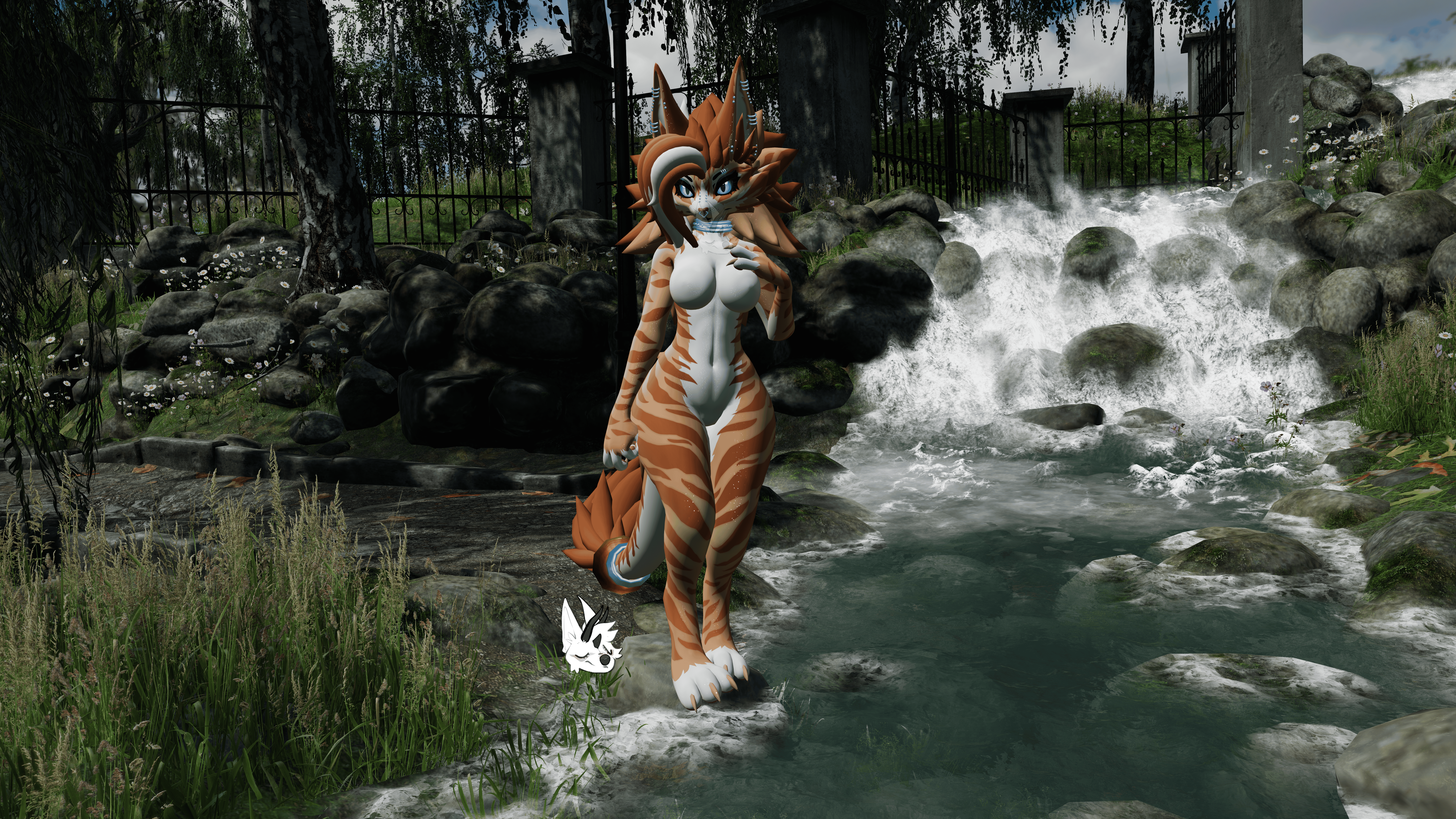 KFN Natural tabby - Orange