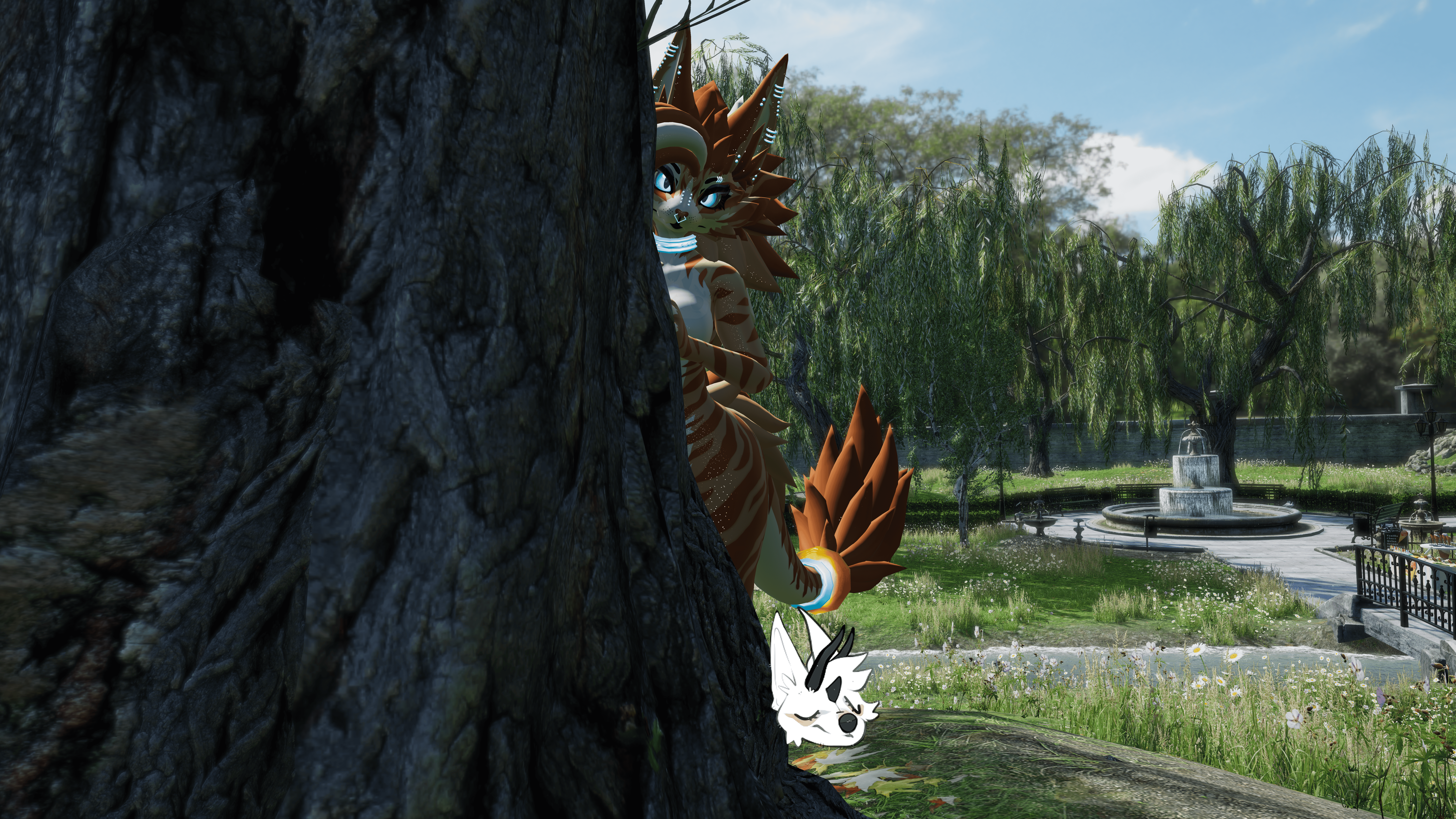 KFN Natural tabby - Orange
