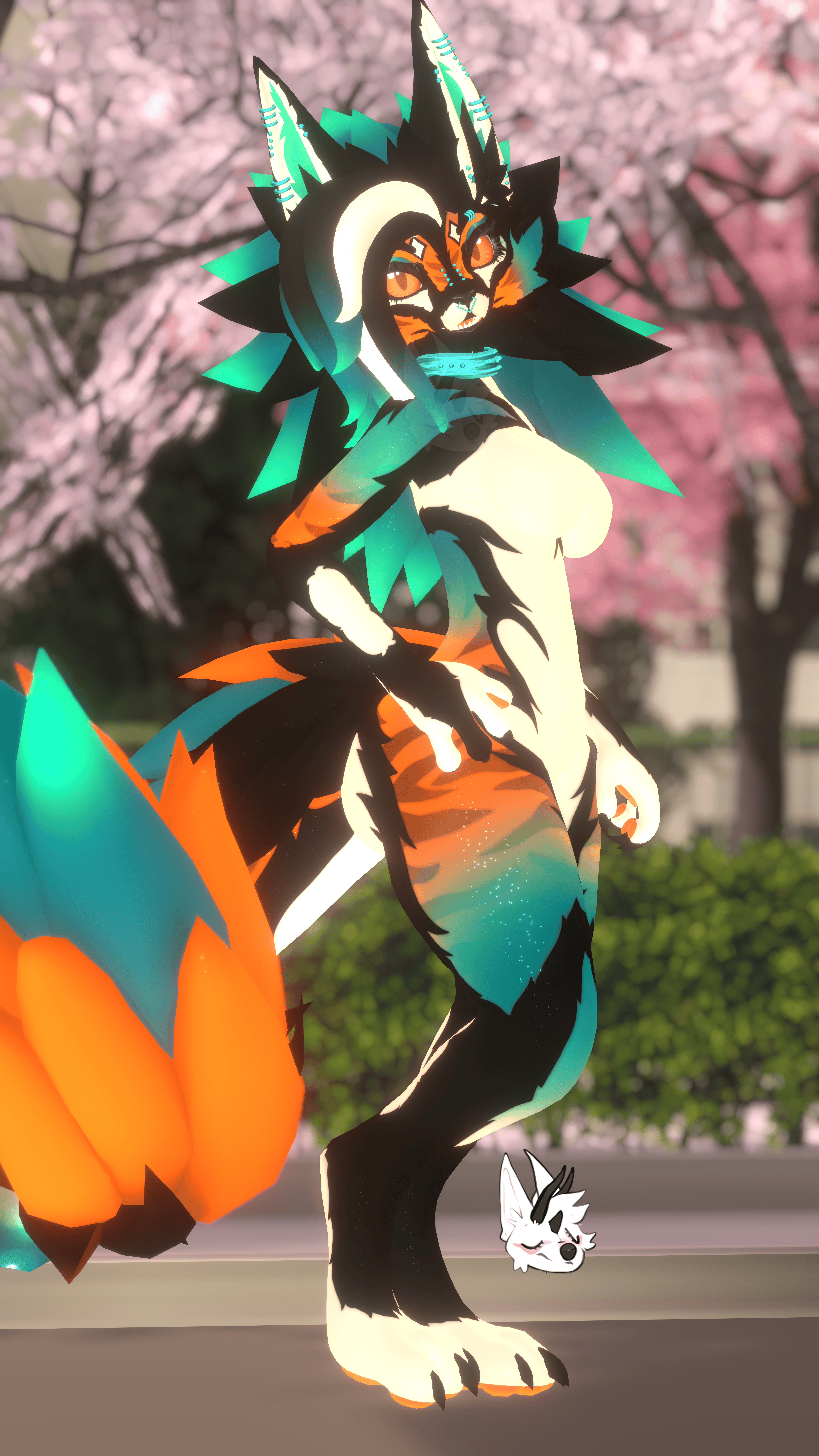 Jex KFN - Orange / Blue