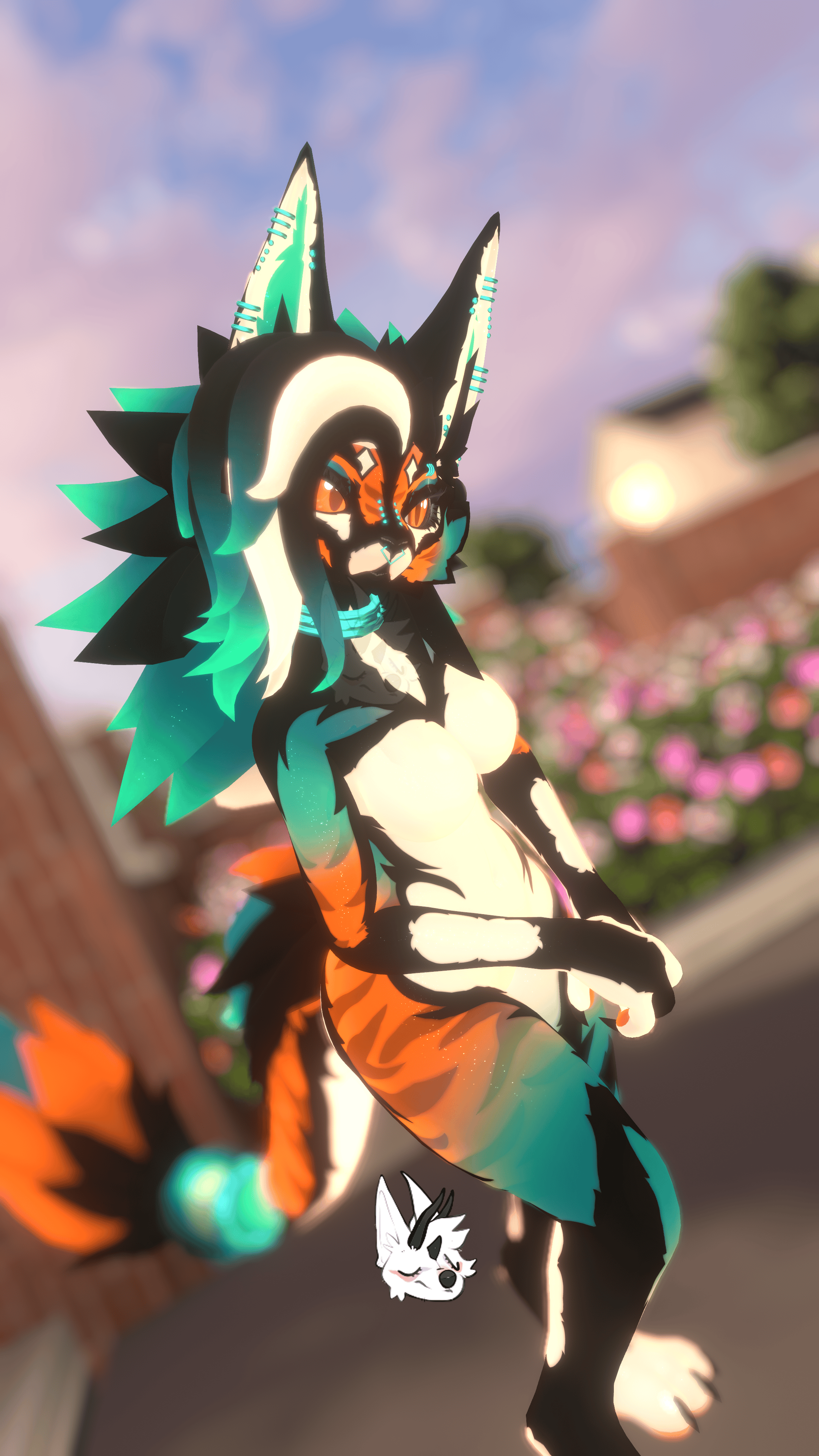 Jex KFN - Orange / Blue