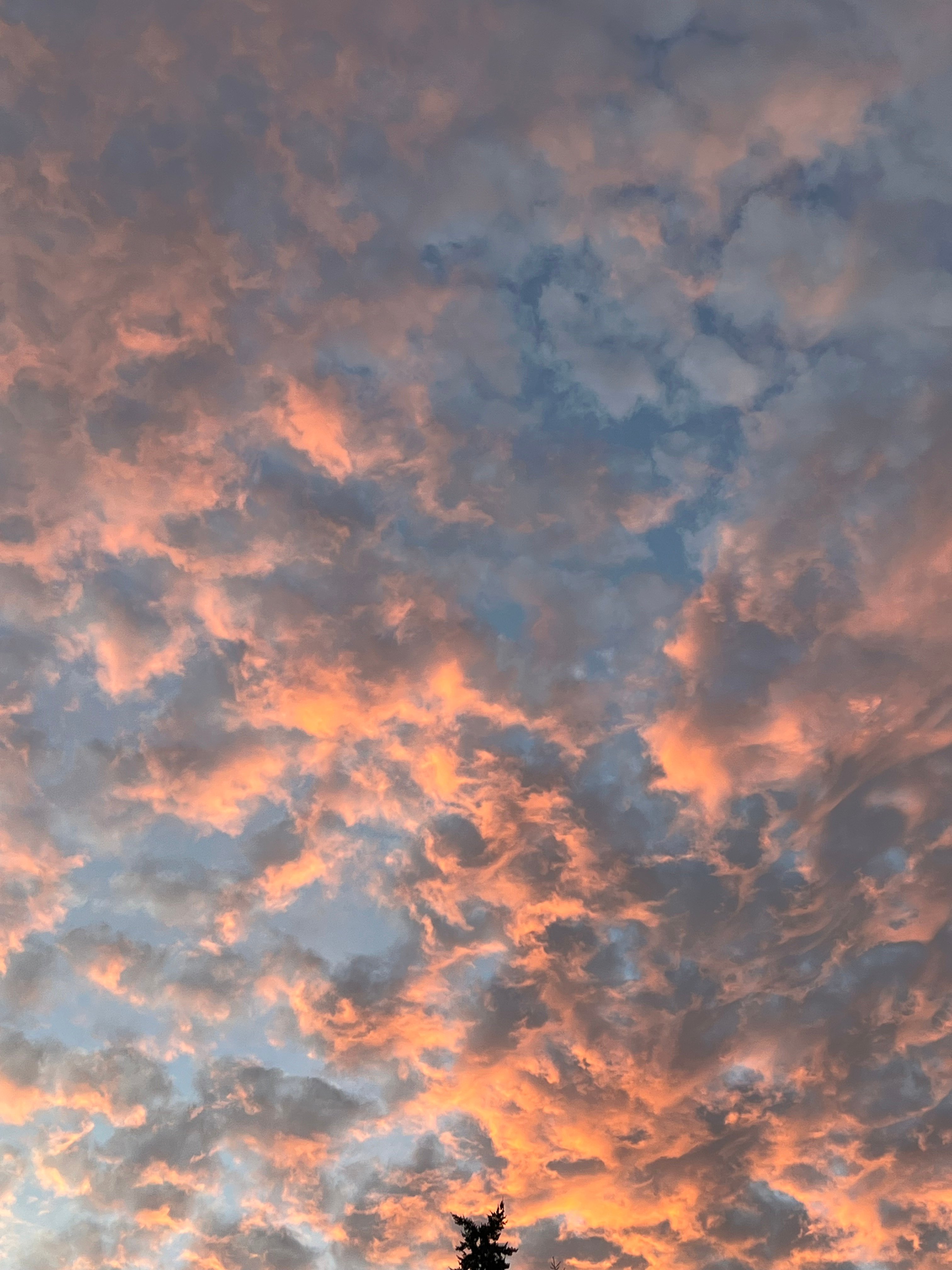 Banner Background