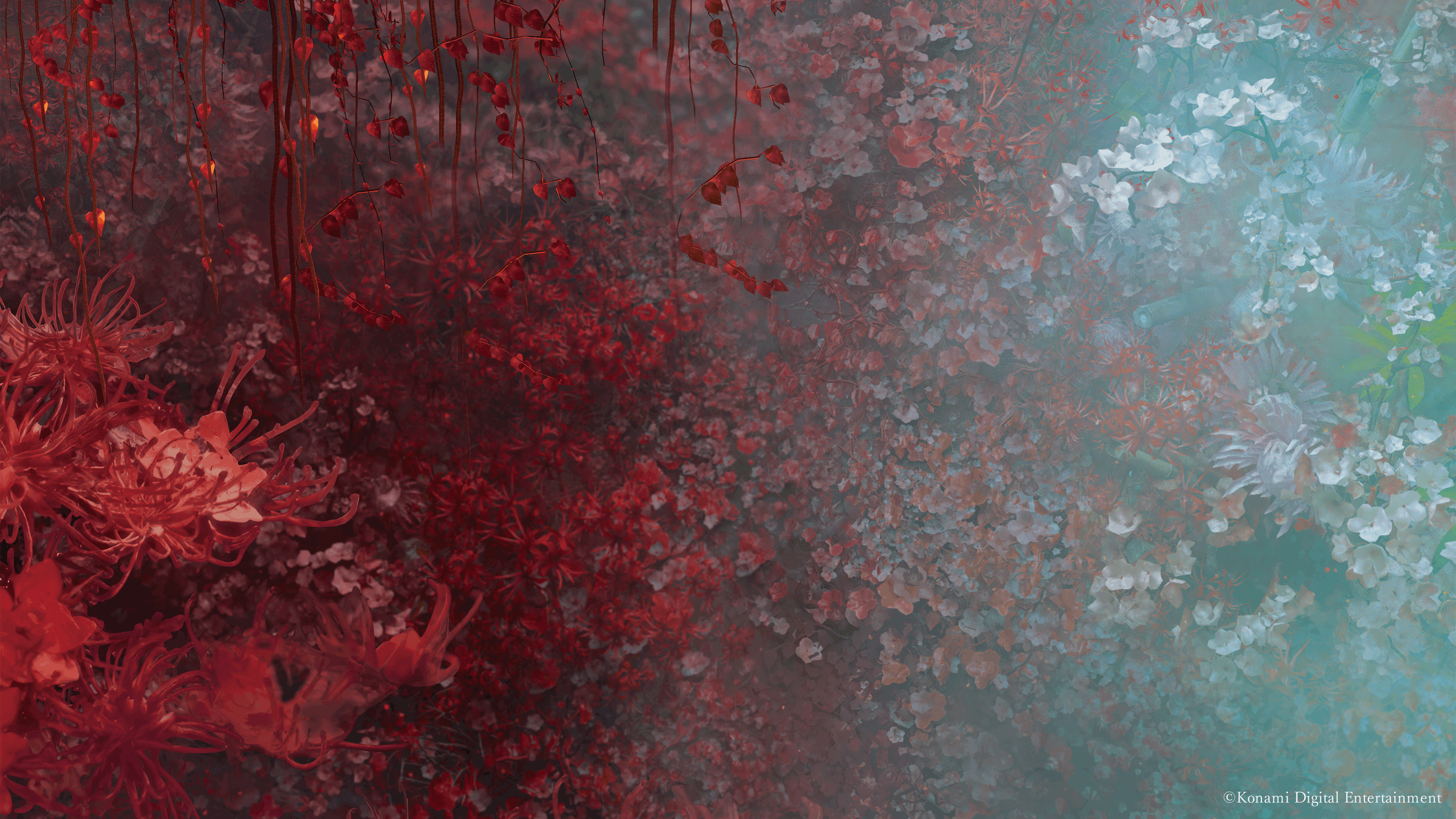 Banner Background