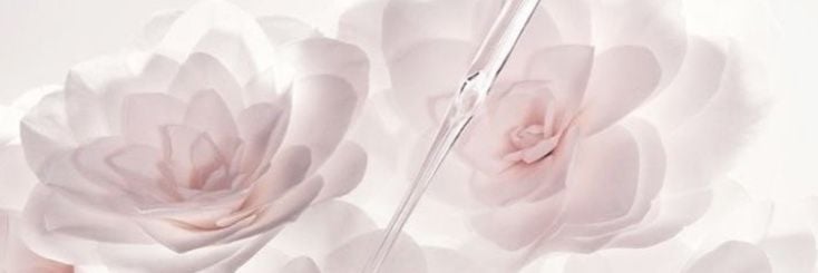 Banner Background