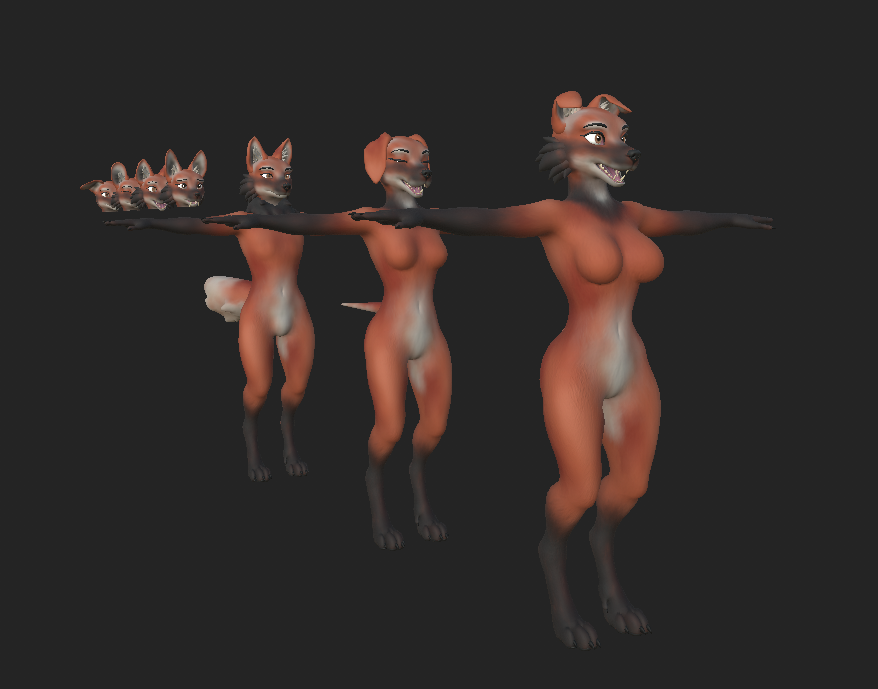 Maned Wolf Kuda's Canine Texture