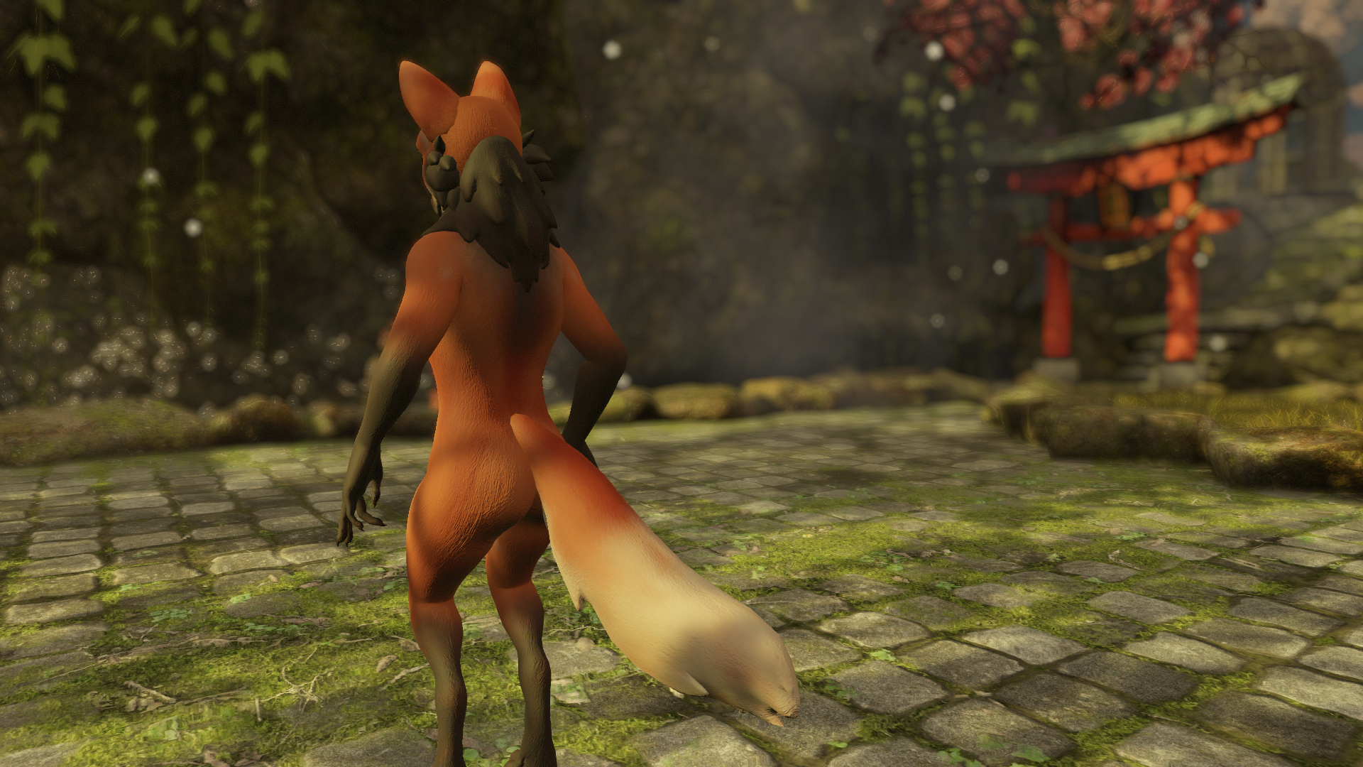 Maned Wolf Kuda's Canine Texture