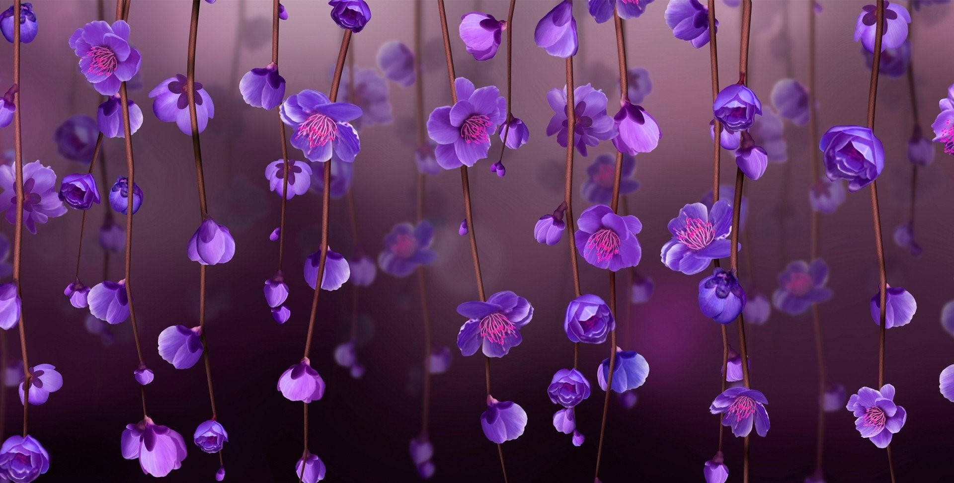 Banner Background