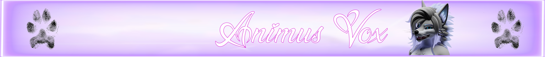 Banner Background