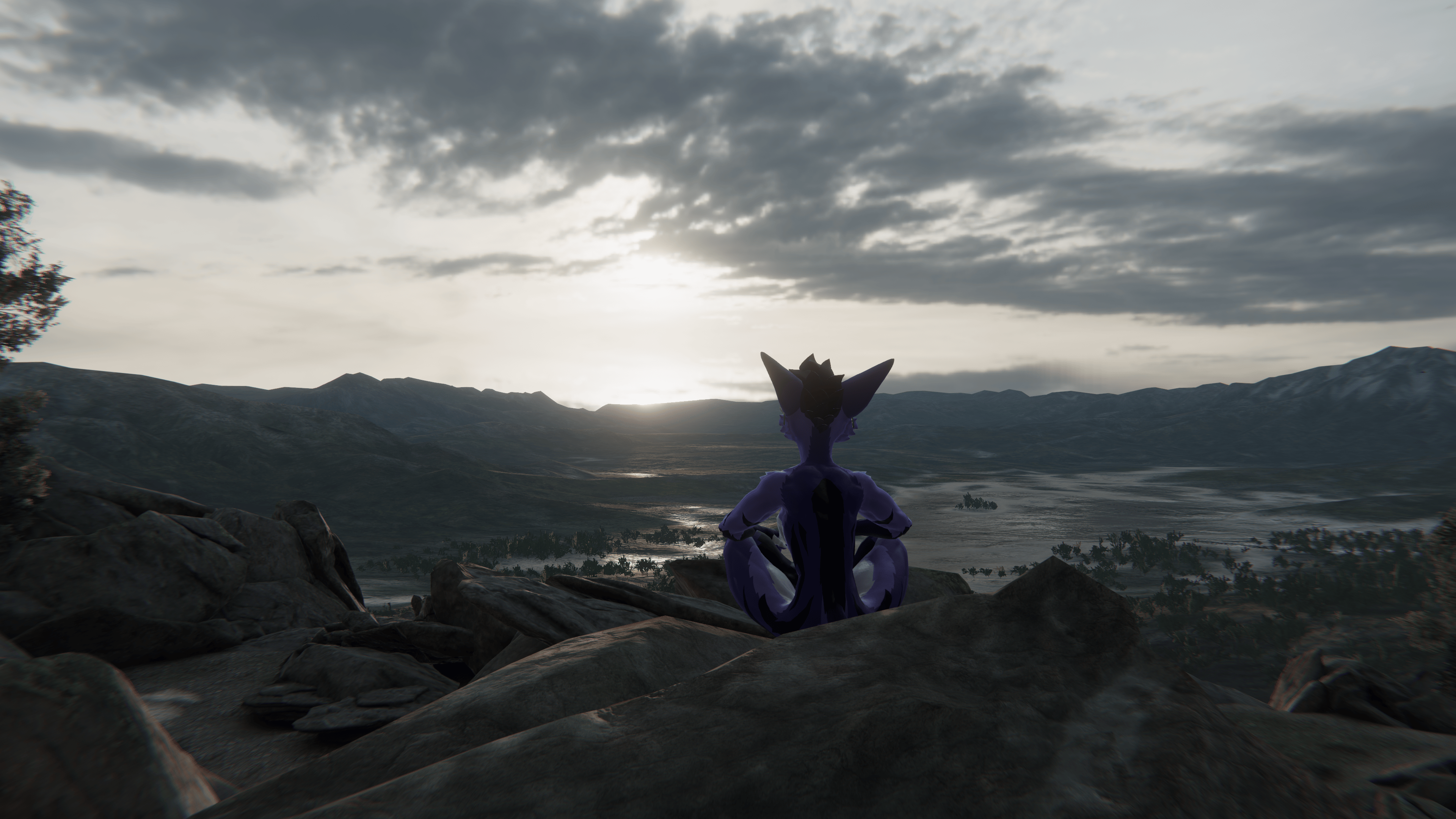 Banner Background
