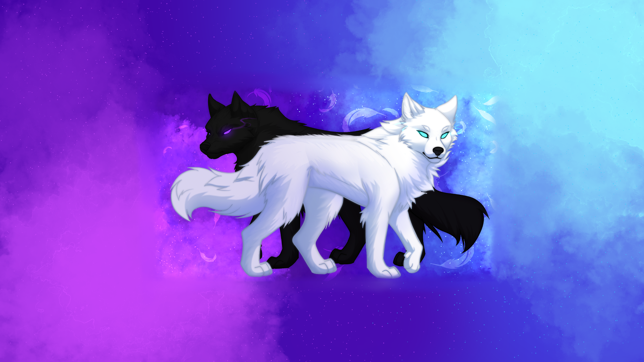 Banner Background