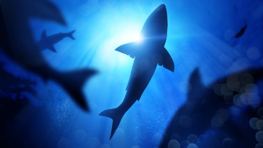 Banner Background