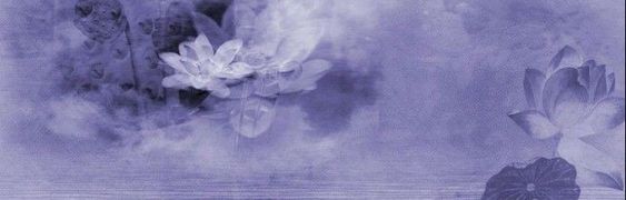 Banner Background