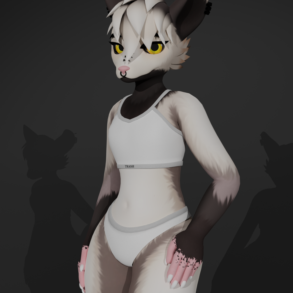 ✧ Poss-e ~ Underwear Set