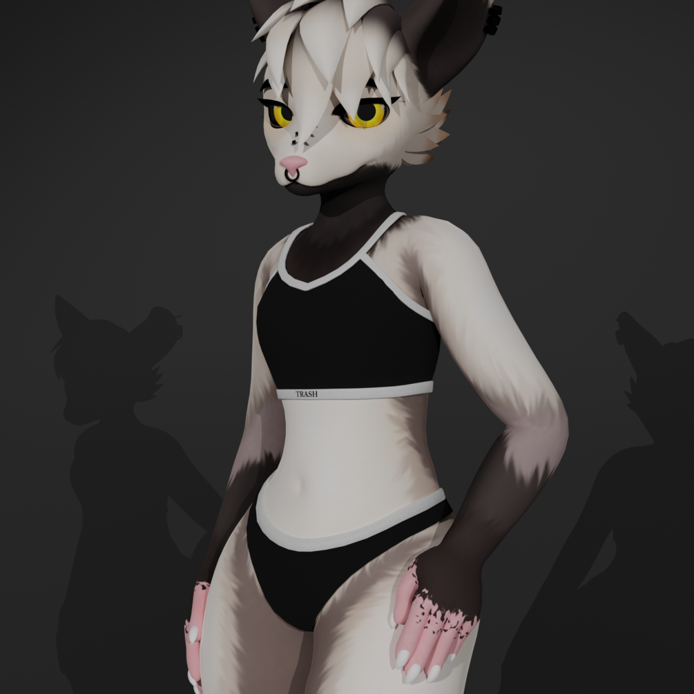 ✧ Poss-e ~ Underwear Set