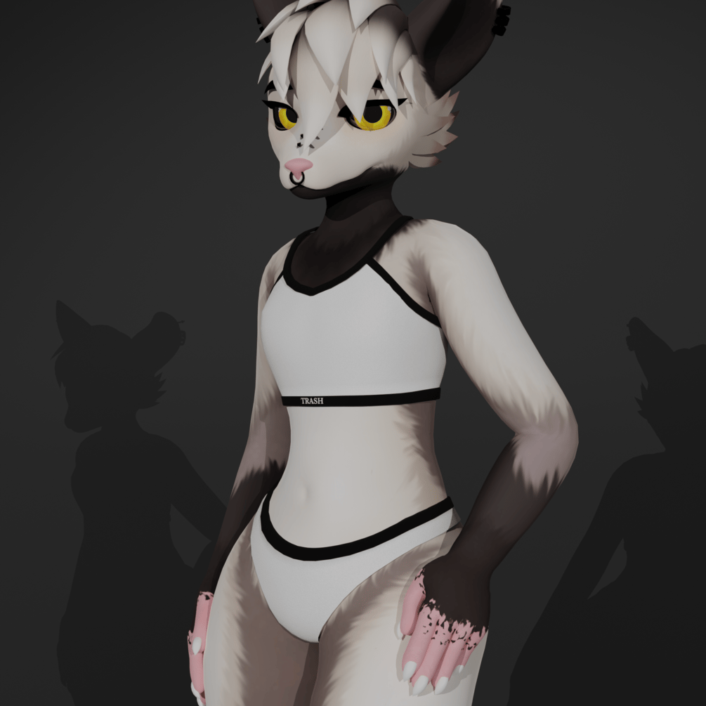 ✧ Poss-e ~ Underwear Set
