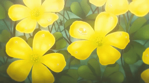 Banner Background