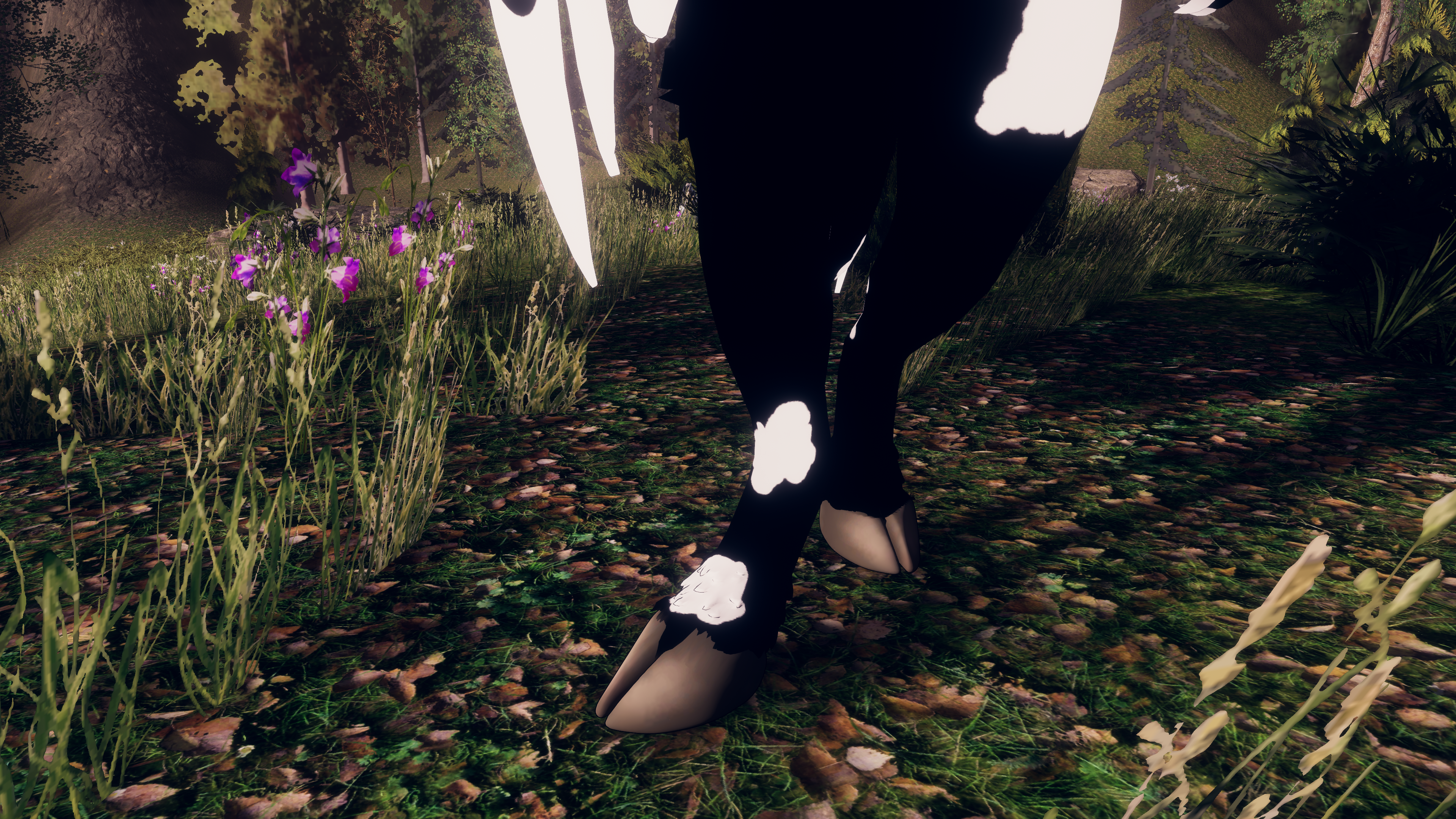 Hoof (Novabeast Hooves)