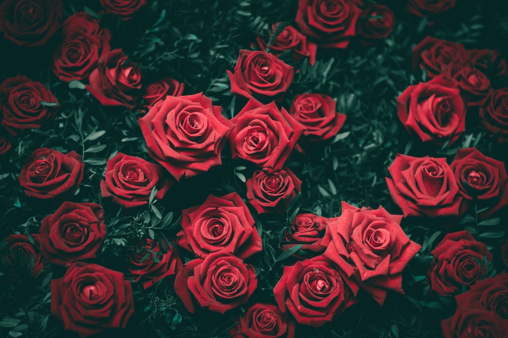 Banner Background