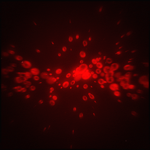 Banner Background
