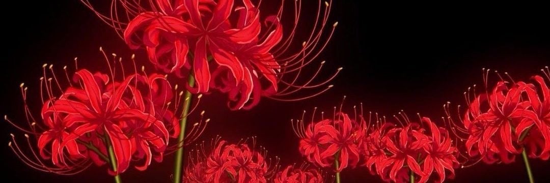 Banner Background