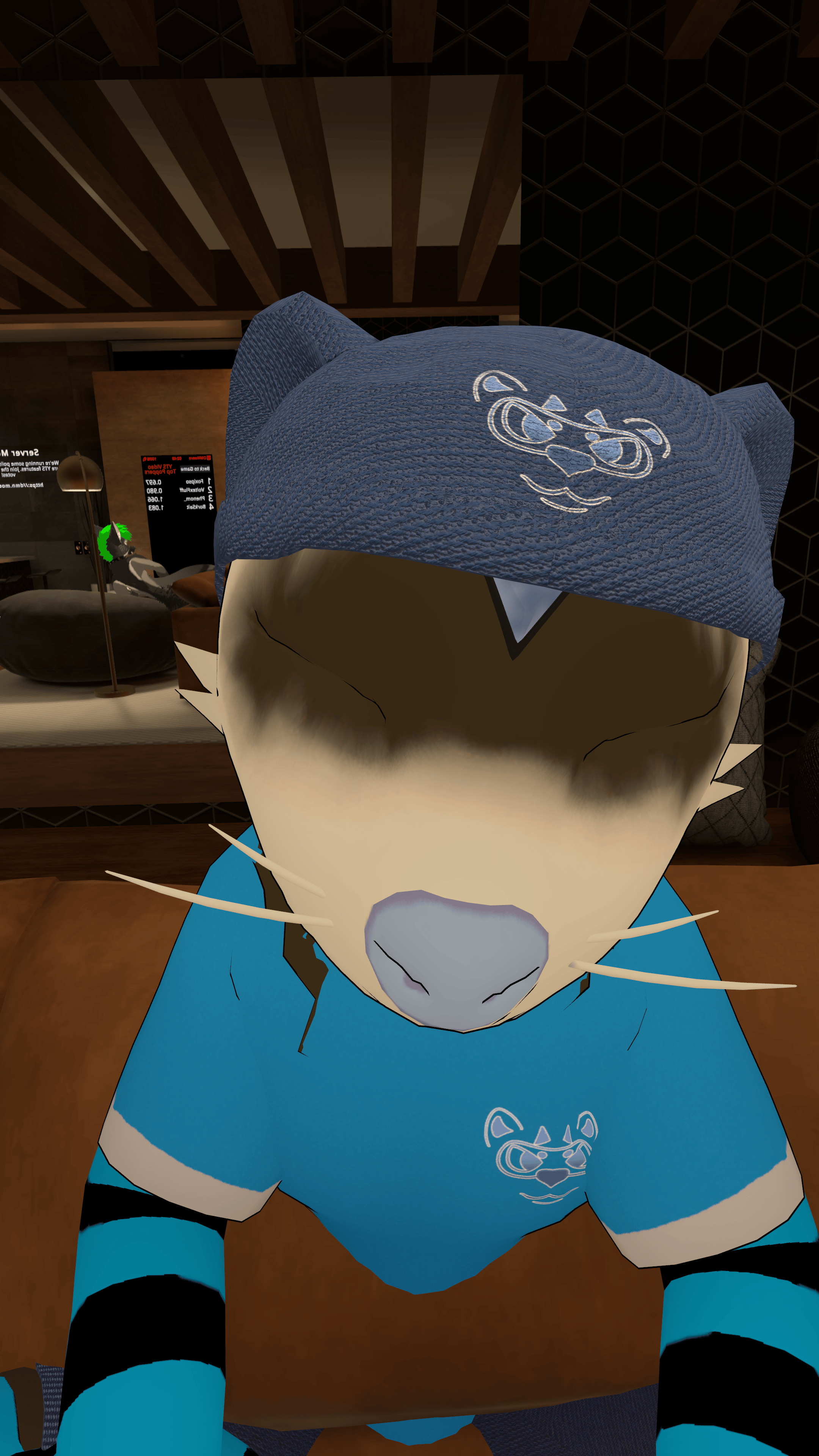 Beanie For The Skynoodle 
