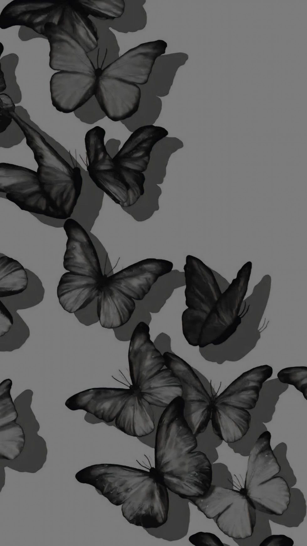 Banner Background