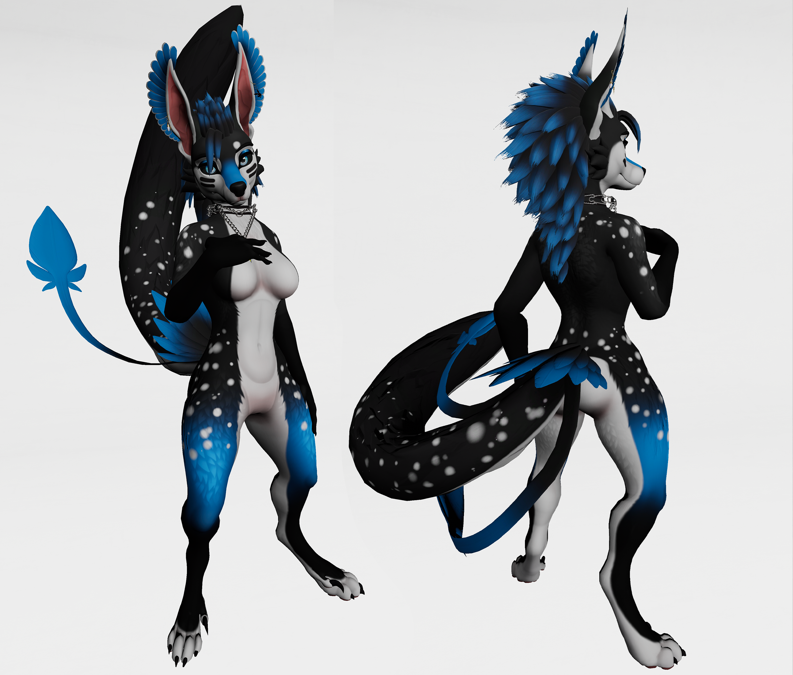 Dream Black Blue - Kuda's Jex