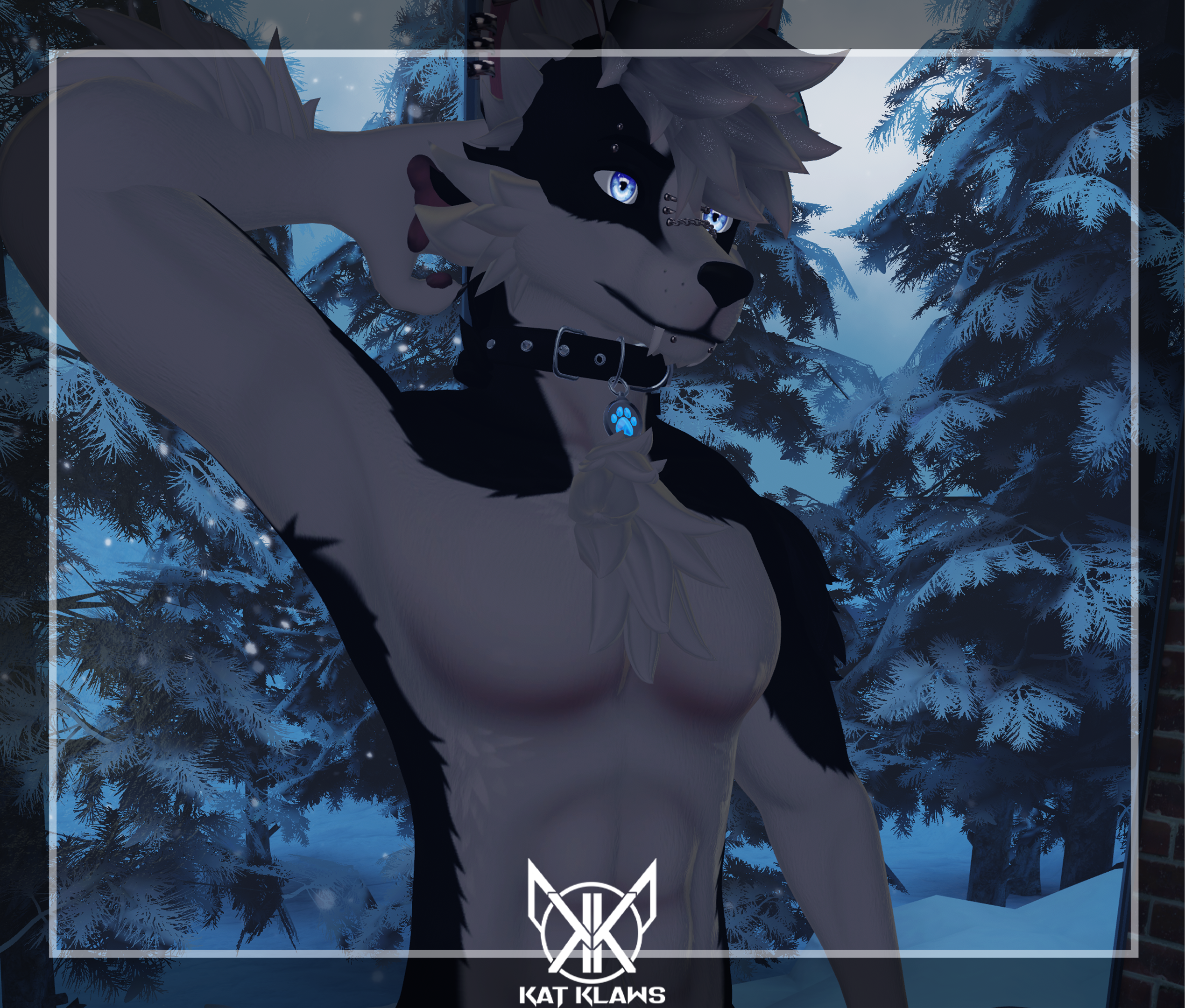 Black Husky - Foxipaws Archer