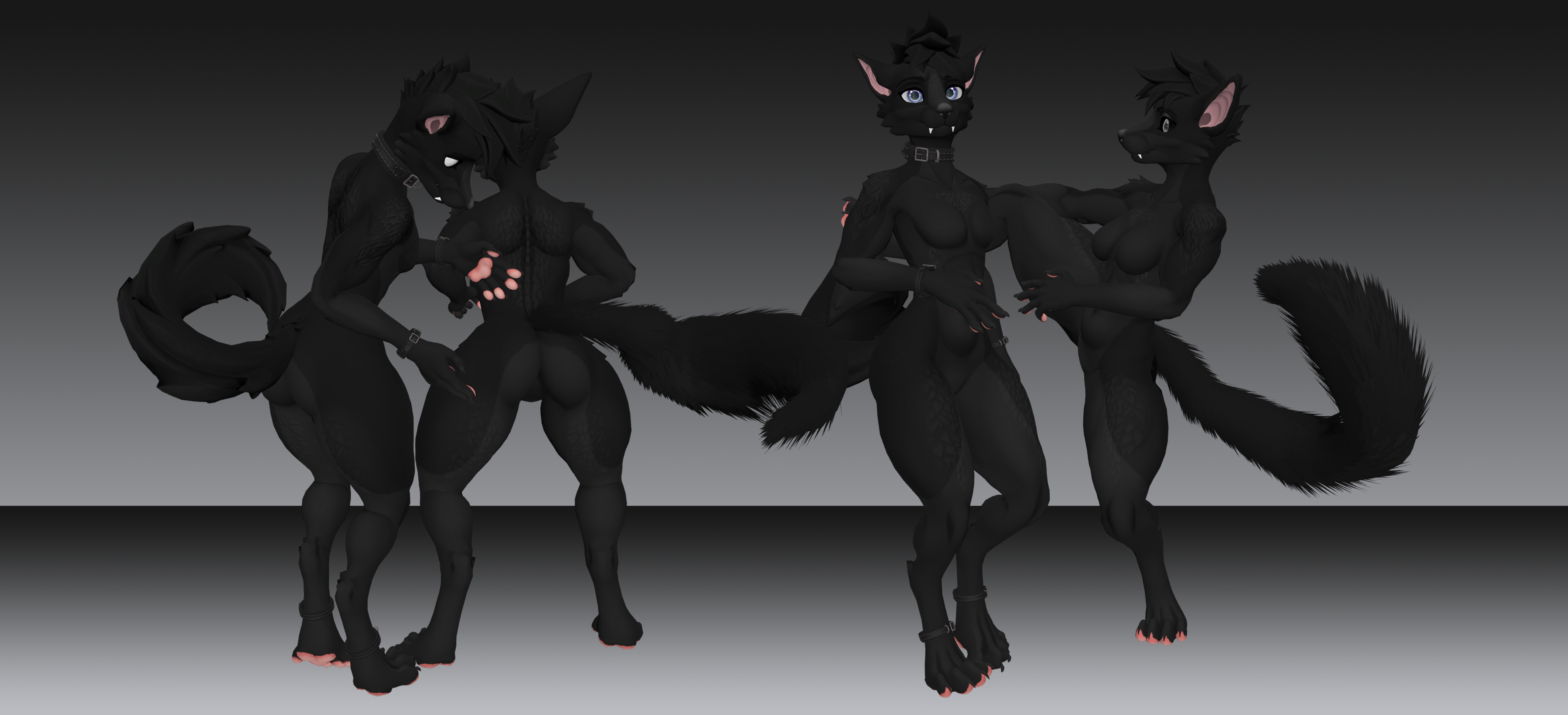 Shadow Husky - Viwi