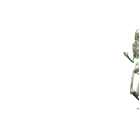"Did You See That?" Skeleton Meme Asset!