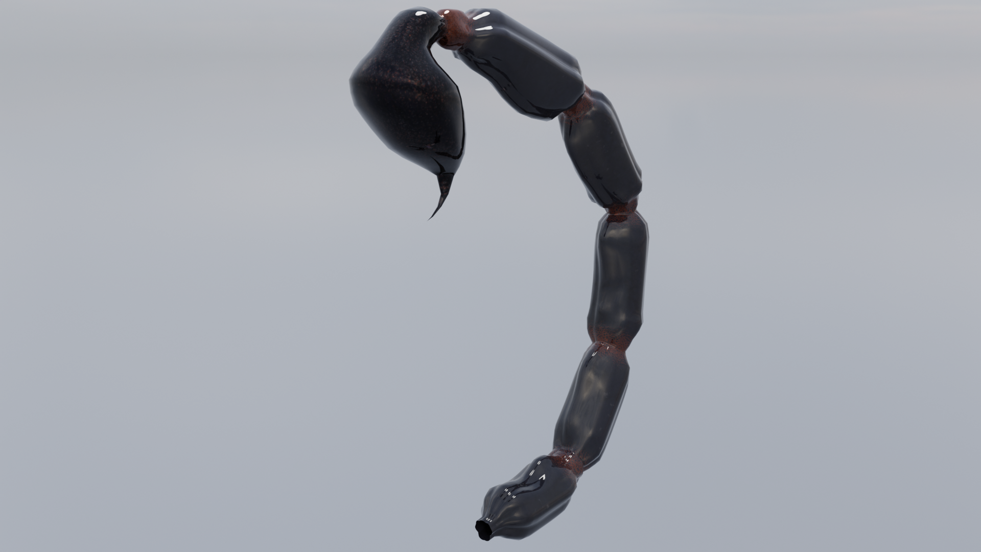 Scorpion Set