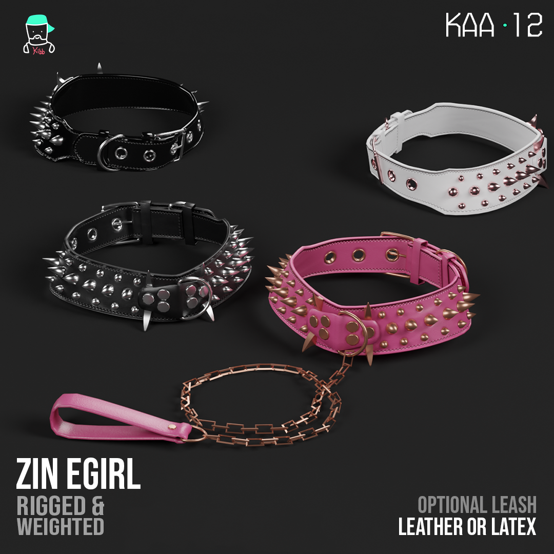 Fierce Puppy Collar & Leash