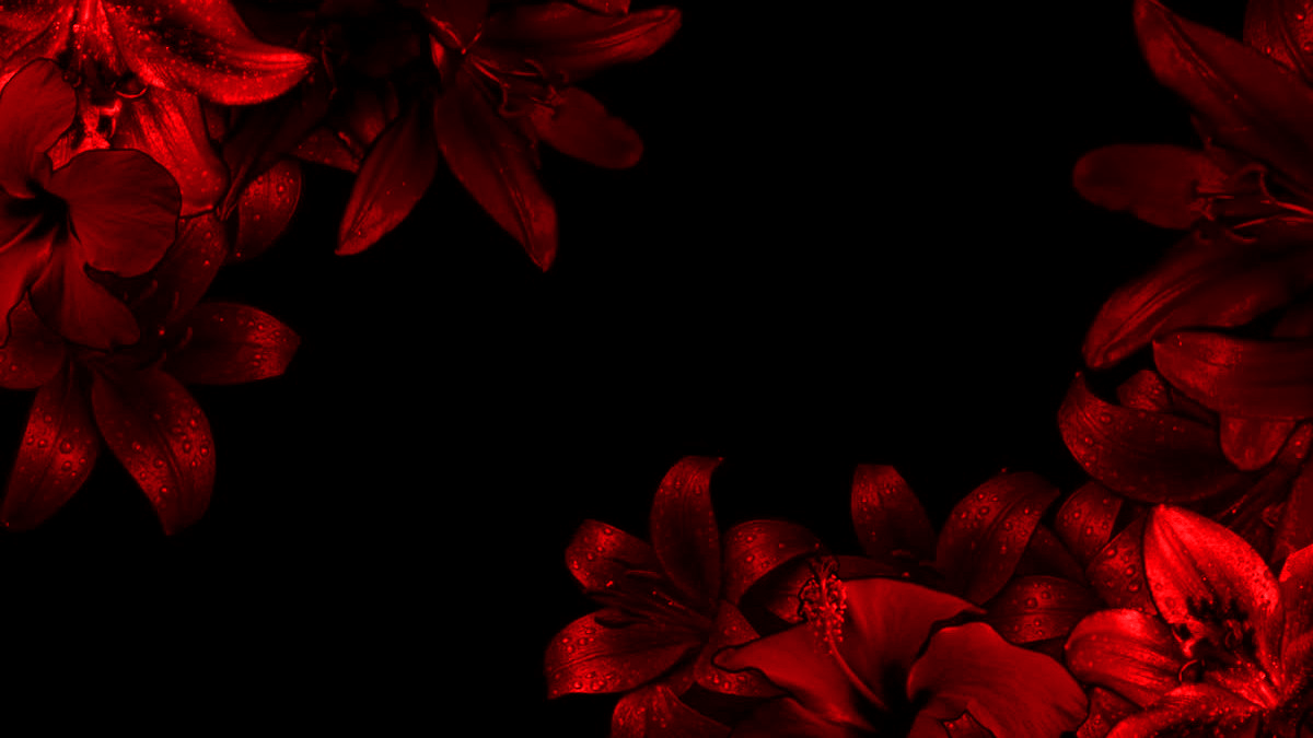 Banner Background