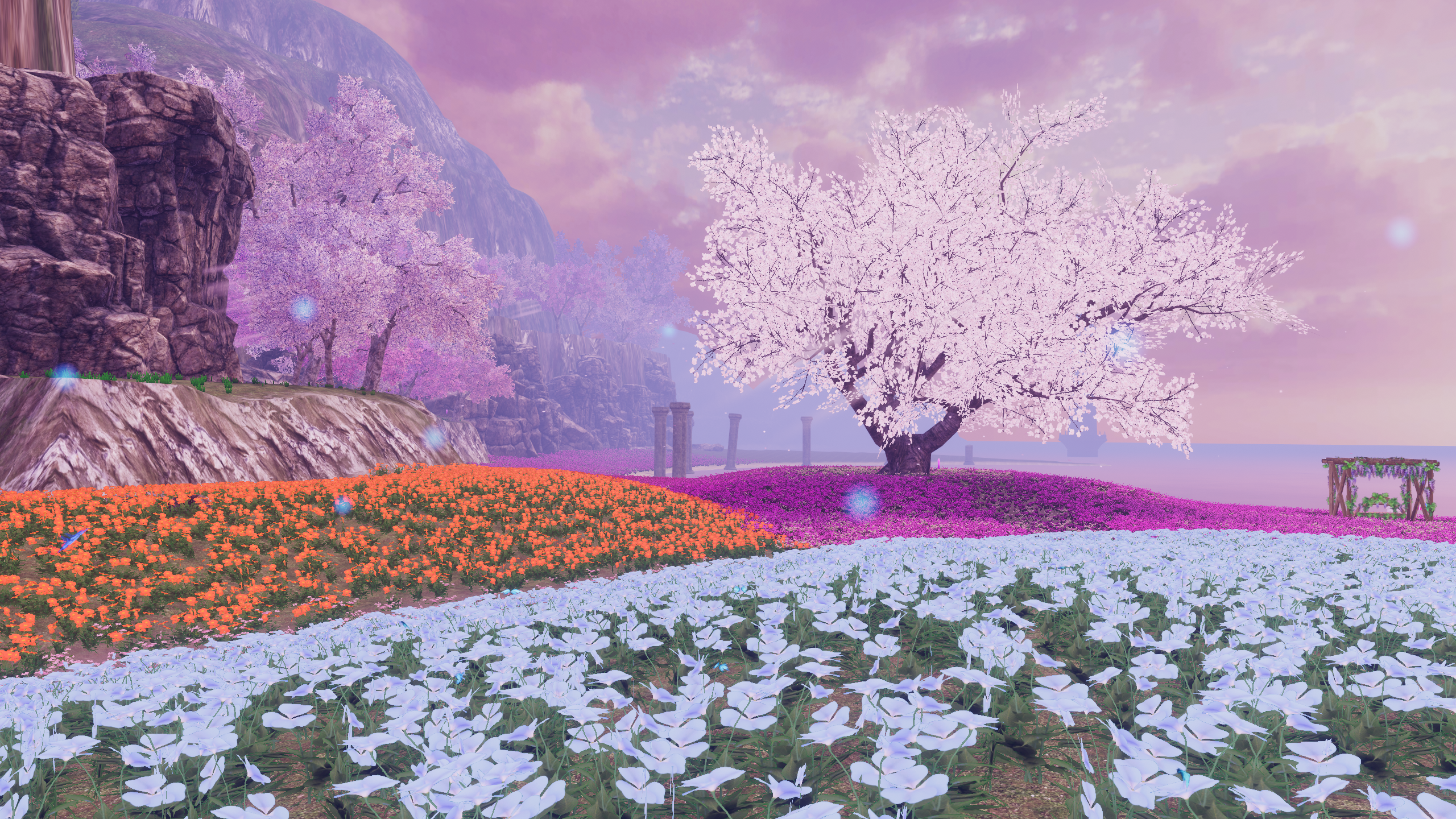 Banner Background