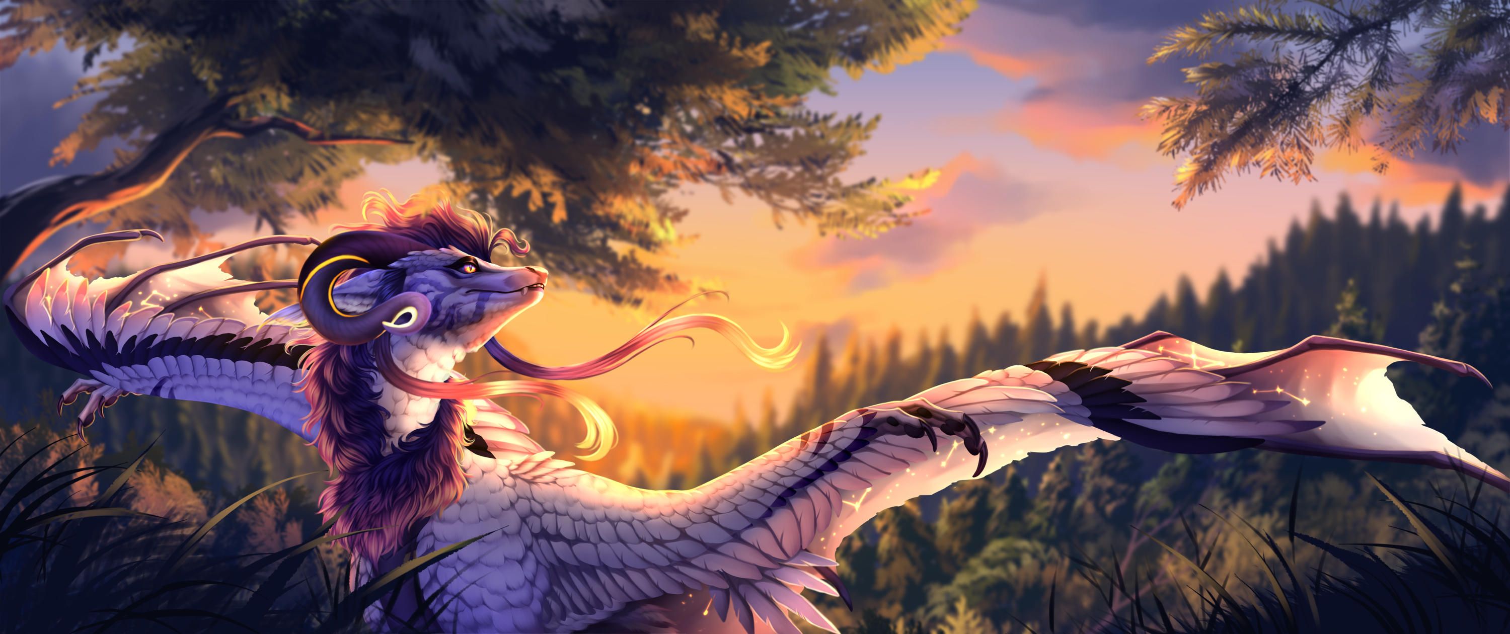 Banner Background