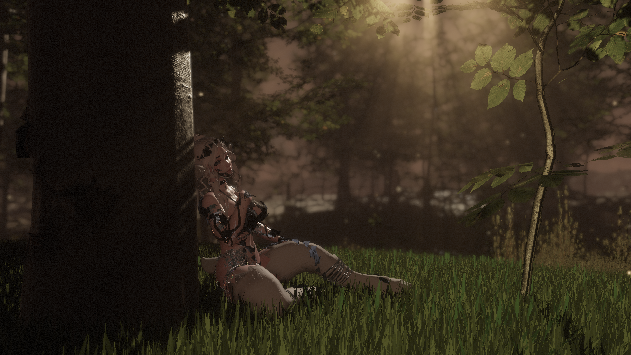 Banner Background