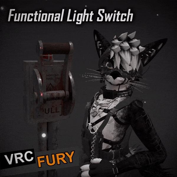Functional Light Switch [JINXXY]