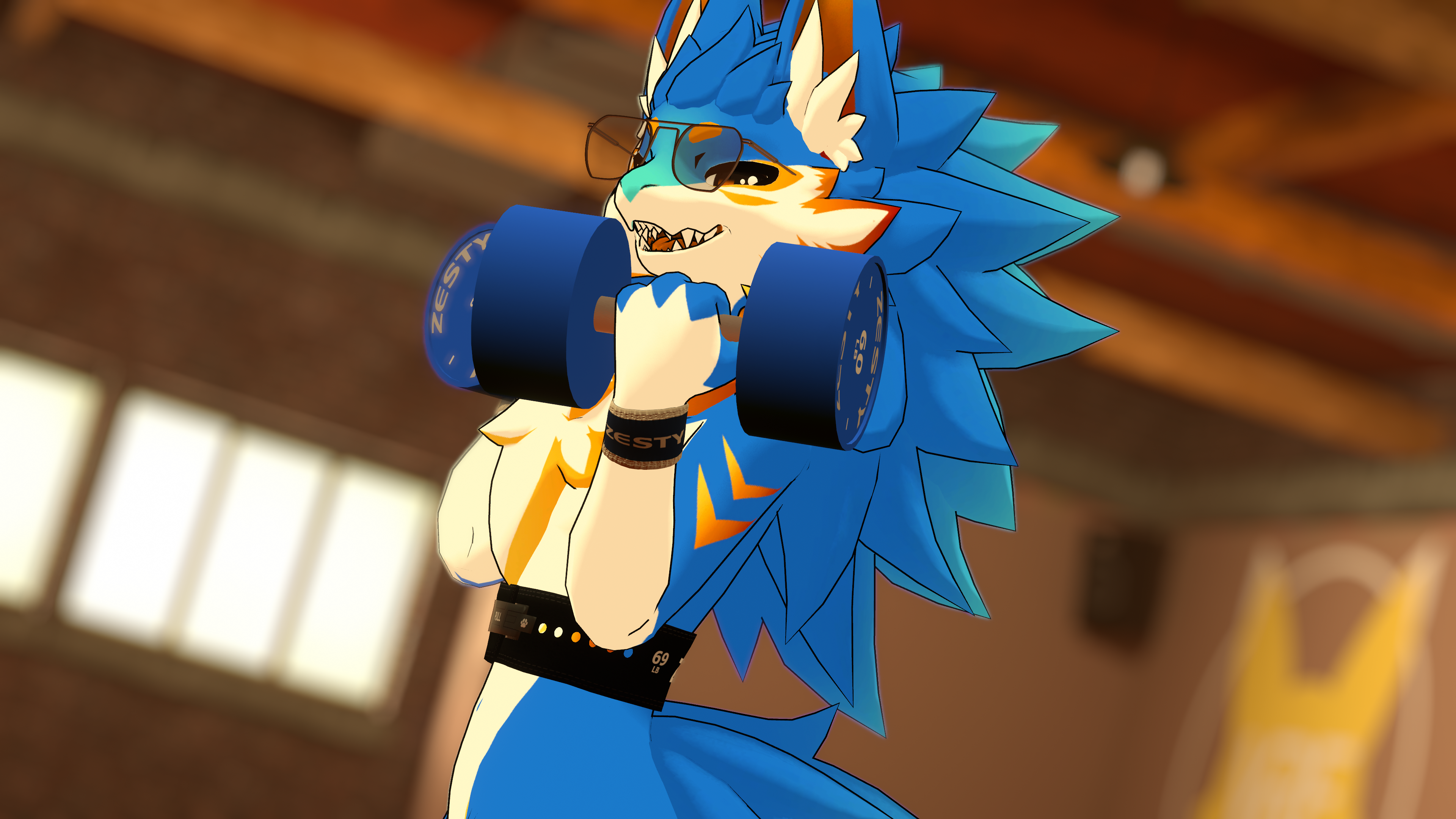 Zesty Gym Accessories
