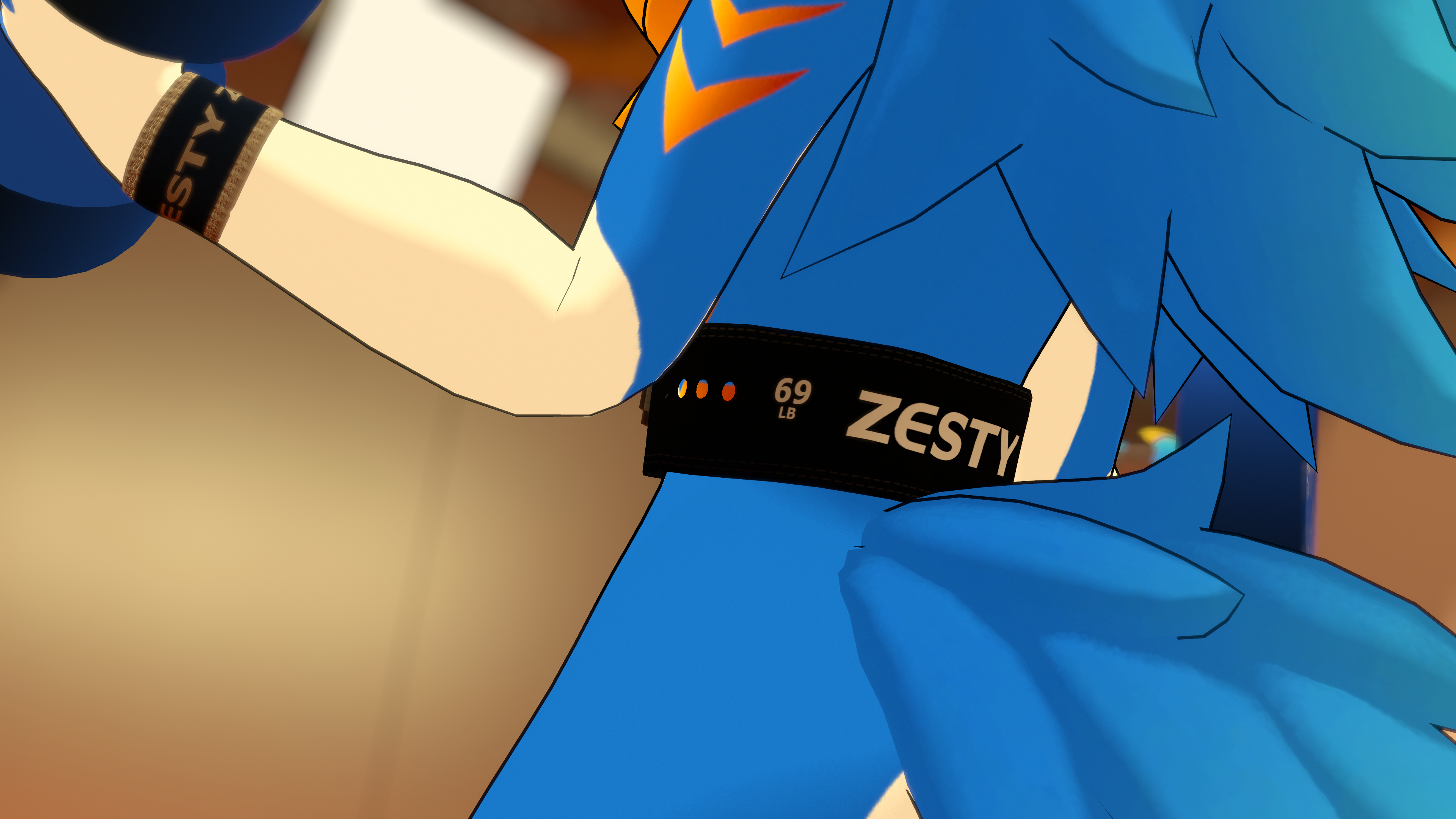 Zesty Gym Accessories
