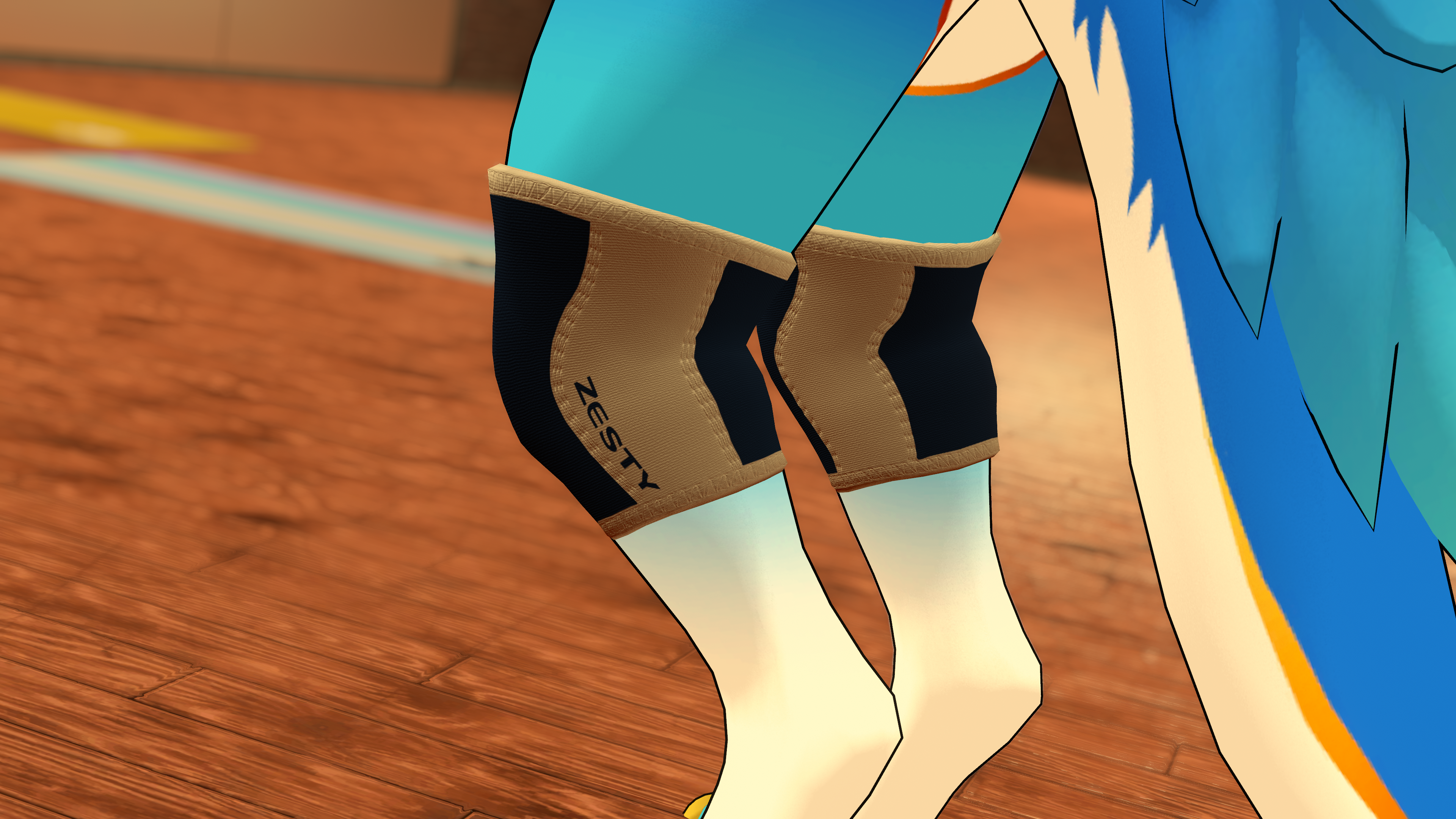 Zesty Gym Accessories