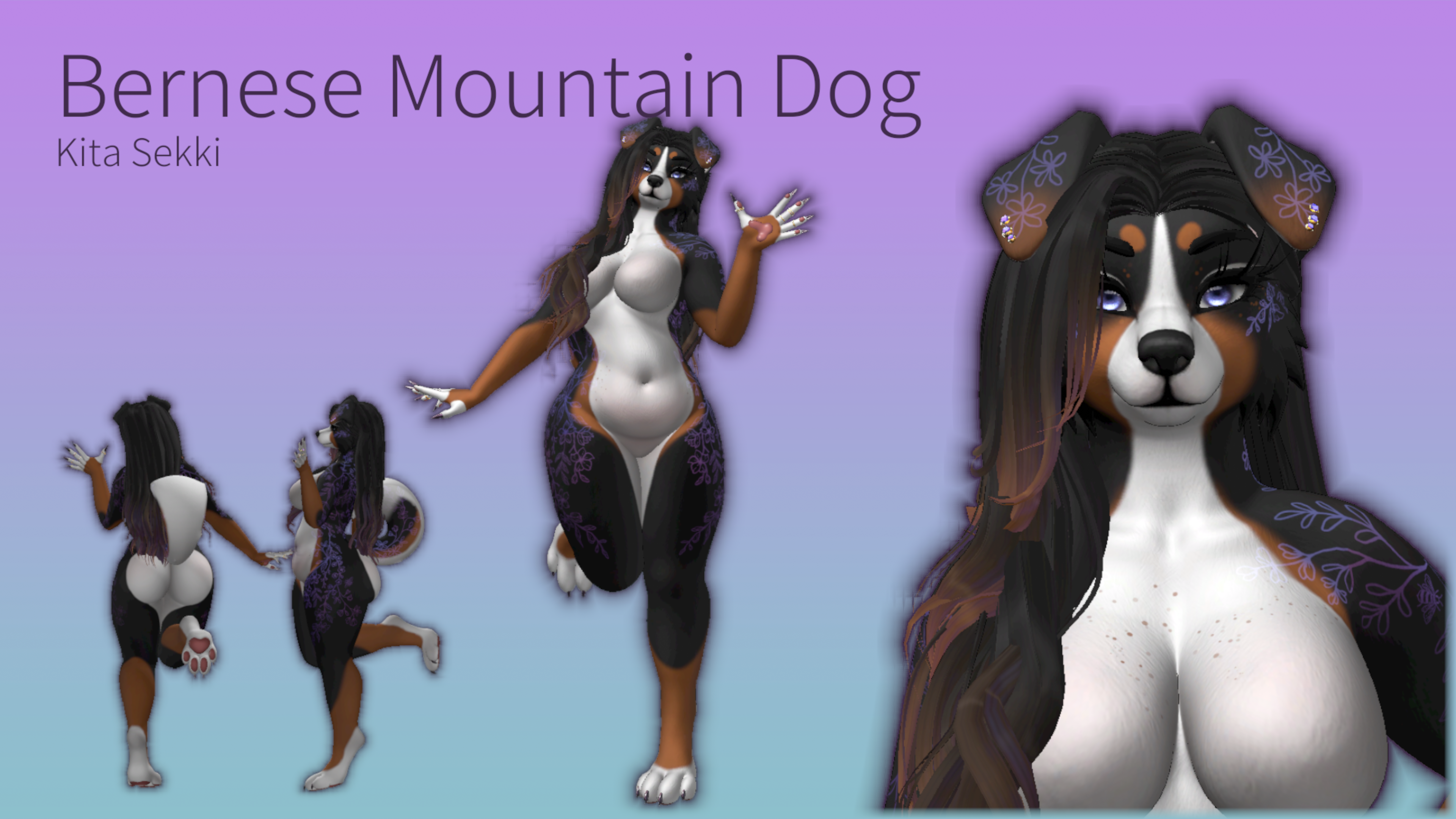 Bernese Mountain Dog Honey - Foxipaws Texture