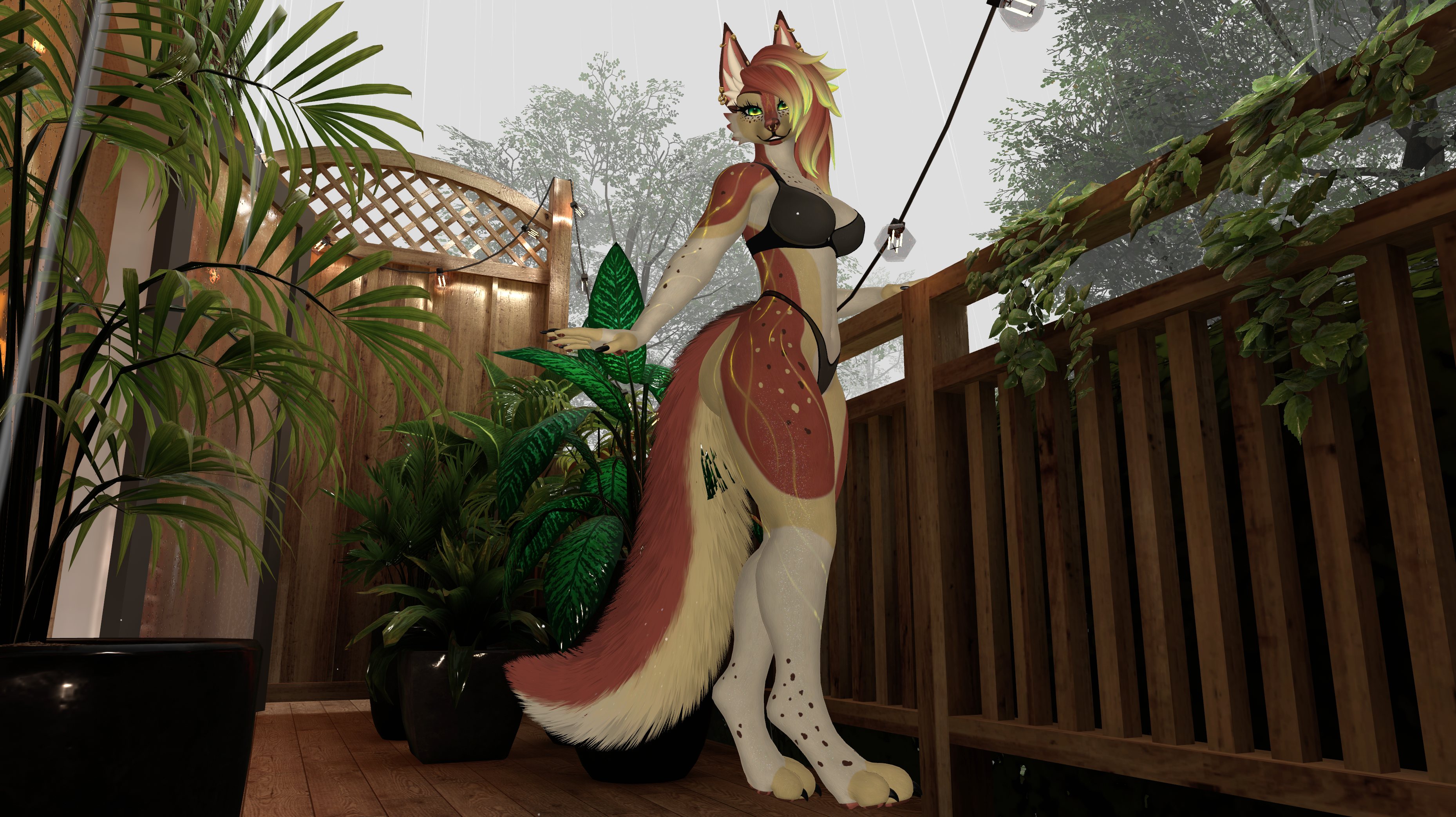 Spotted Fox Aurora - Foxipaws Texture