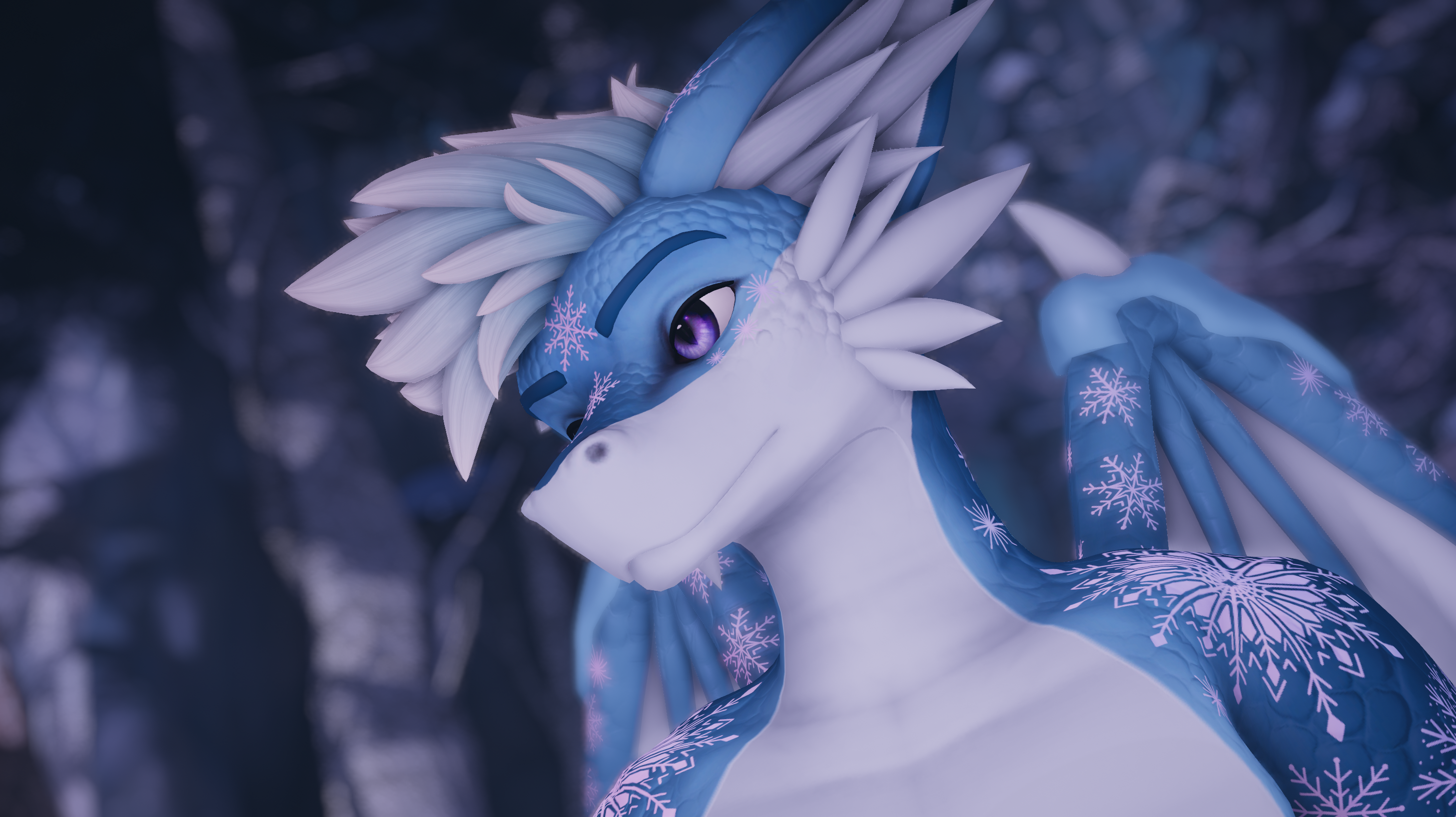Snow Dragon Aster Texture