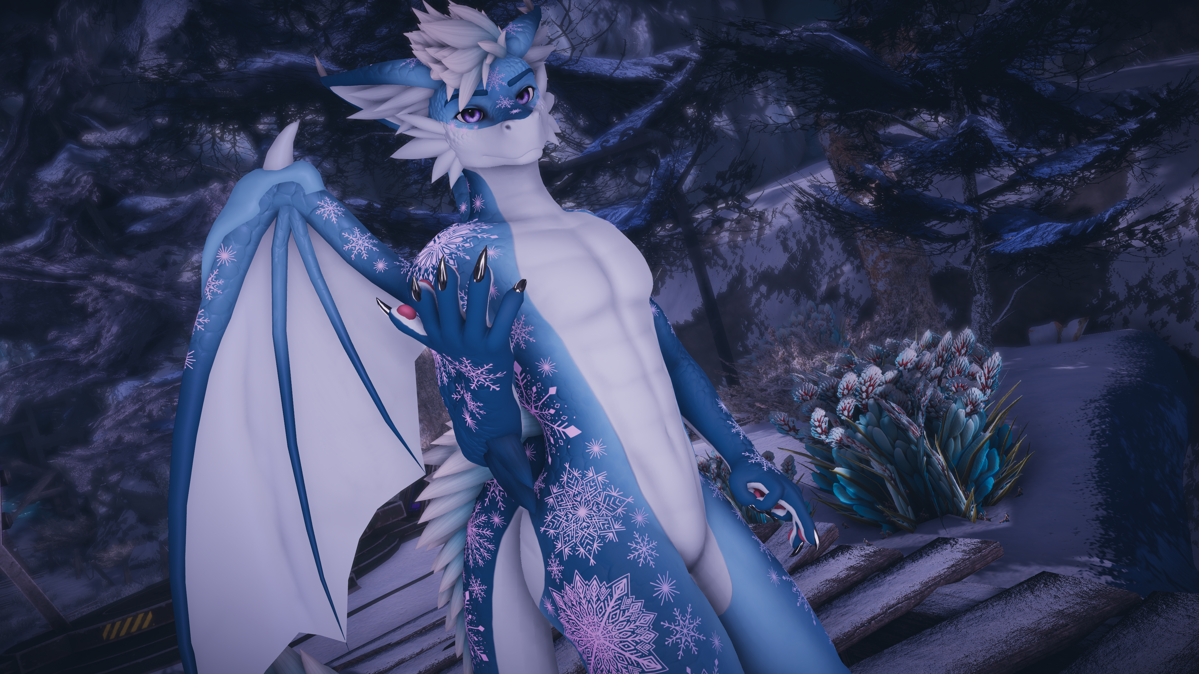 Snow Dragon Aster Texture