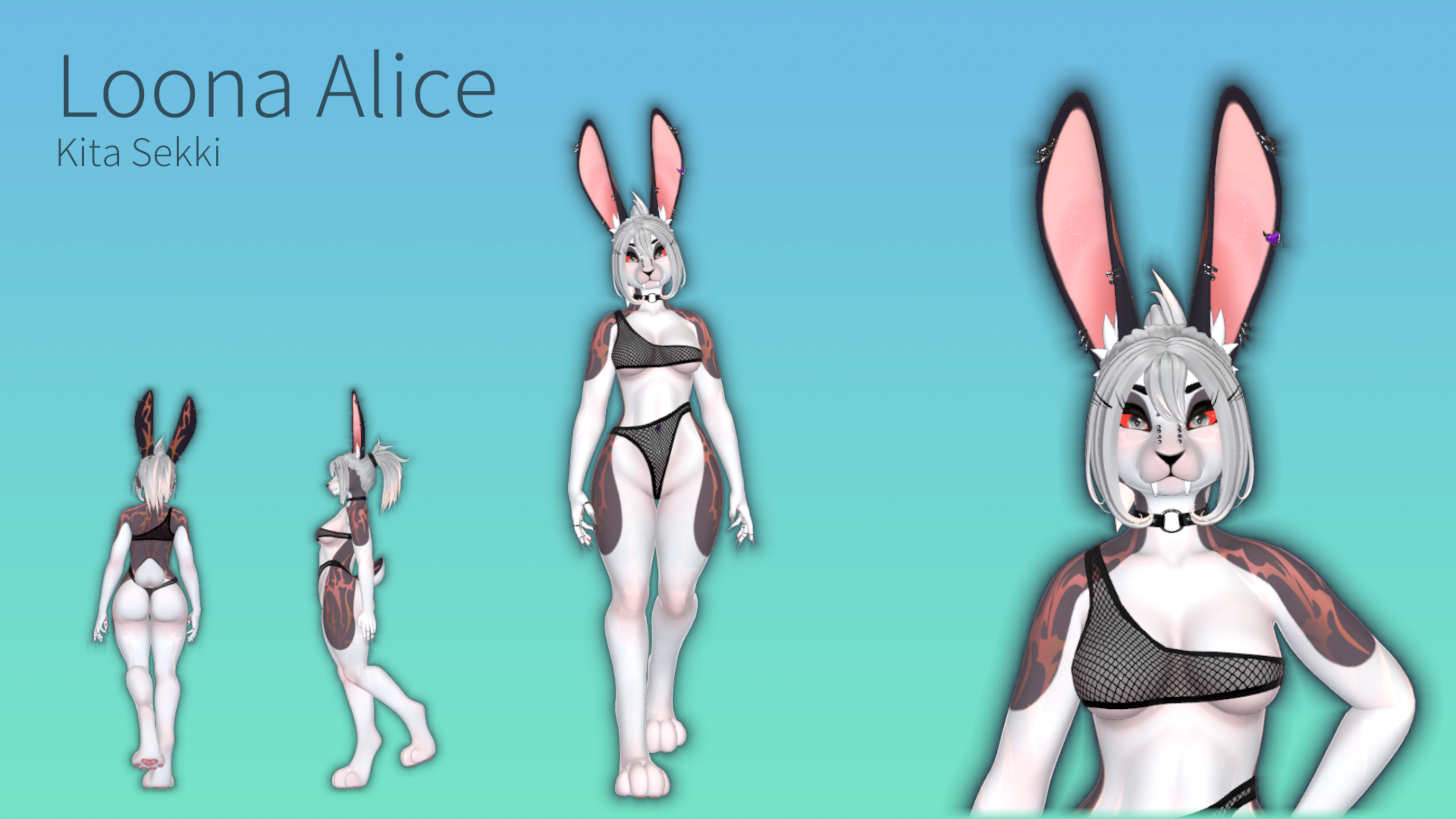 Loona Bunny Alice Textures
